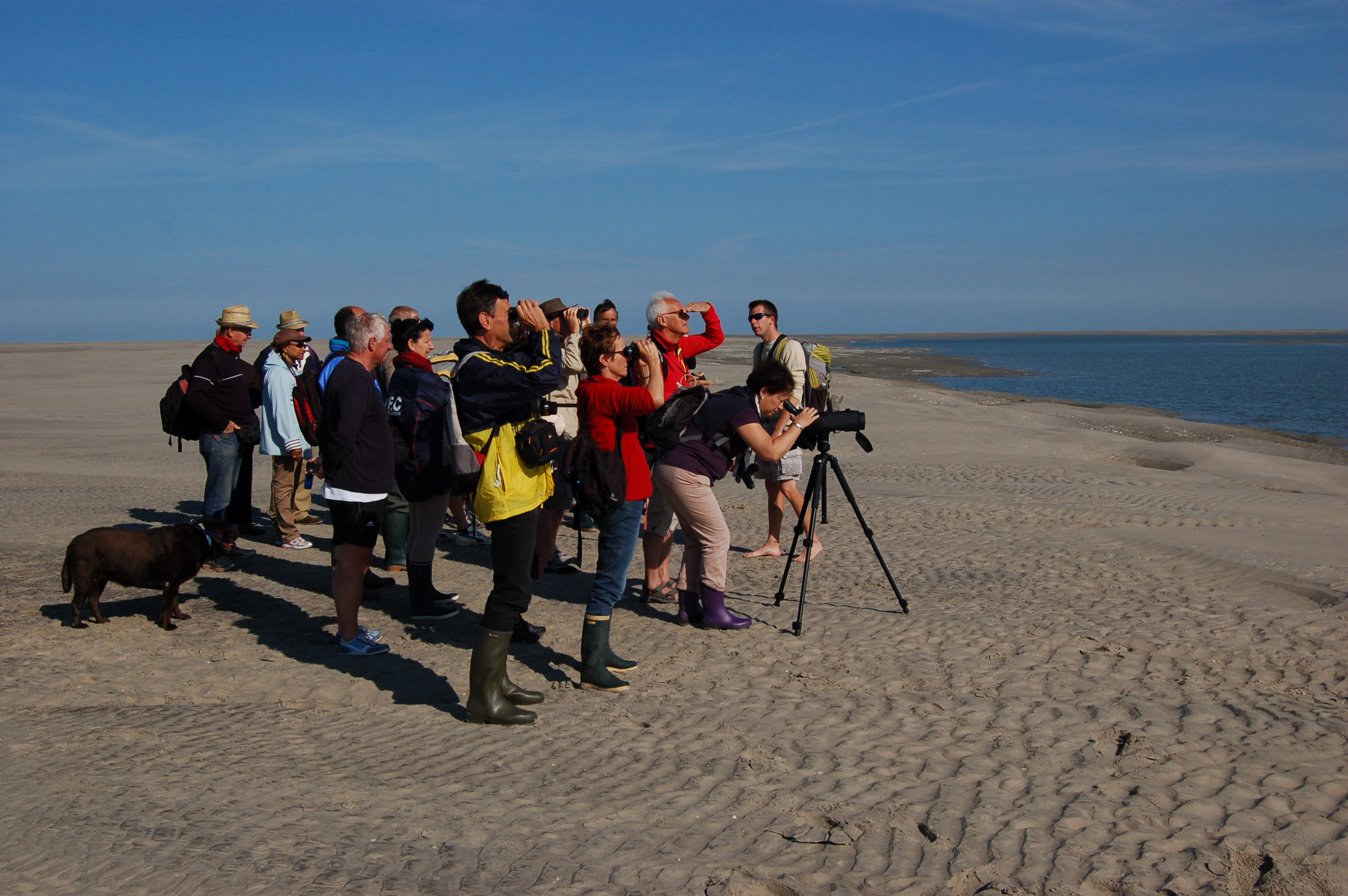 Les Phoques et la Baie Rando Nature Baie de Somme